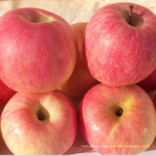 Fresh red star apples